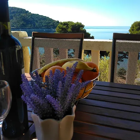 Apartmán Sentic